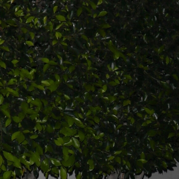 Rihanna enceinte quitte seule le restaurant Nobu à Los Angeles le 6 avril 2022. 