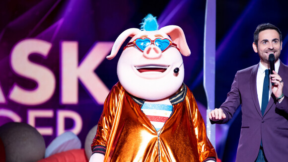 Mask Singer saison 3 - le Cochon éliminé : tous les indices qui mettaient sur la piste
