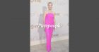 Gilian Anderson sublime en rose, Michelle Pfeiffer avec son mari : elles font sensation sur tapis rouge