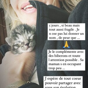 Ingrid Chauvin présente son nouveau petit chaton sur Instagram.