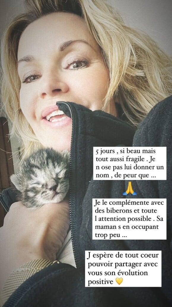 Ingrid Chauvin présente son nouveau petit chaton sur Instagram.