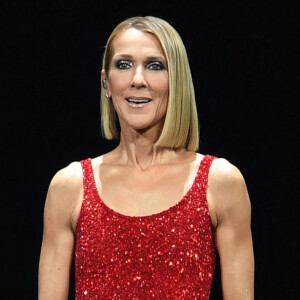 Céline Dion en concert à l'American Airlines Arena dans le cadre de sa tournée "Courage World Tour" à Miami