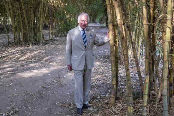 Le prince Charles, prince de Galles, visite le site agroforestier "Arcos" à Kigali, dans le cadre de son voyage officiel au Rwanda avec la duchesse de Cornouailles. Le 22 juin 2022. 