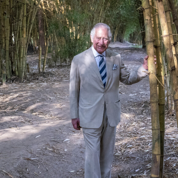 Le prince Charles, prince de Galles, visite le site agroforestier "Arcos" à Kigali, dans le cadre de son voyage officiel au Rwanda avec la duchesse de Cornouailles. Le 22 juin 2022. 