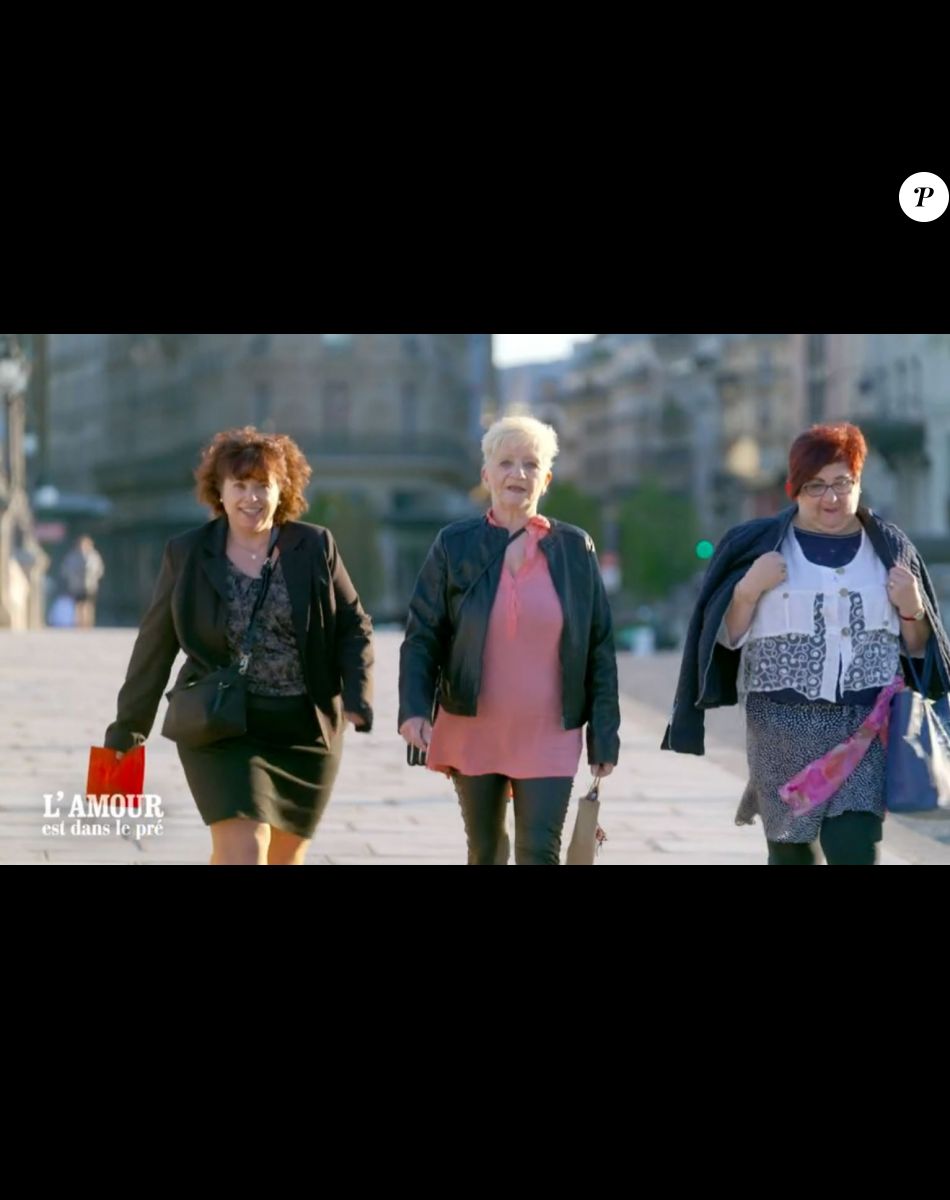 Corinne L amour Est Dans Le Pré L'amour est dans le pré - Karine Le Marchand charmée par les nouvelles  dents de Jean : "C'est beau, c'est naturel" : le diaporama - Purepeople