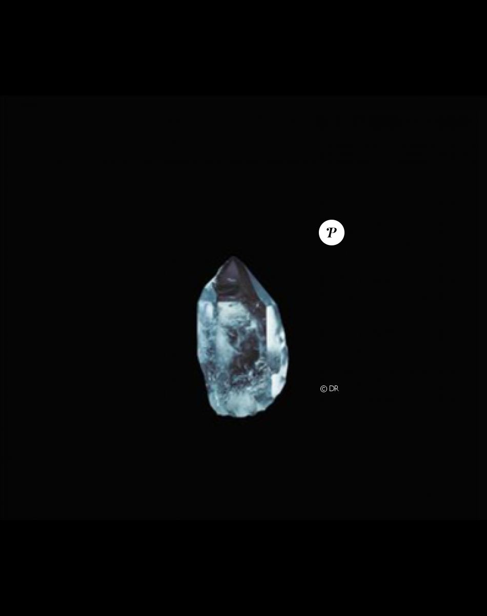 Visuel de l'album "The Circle" de Yodelice