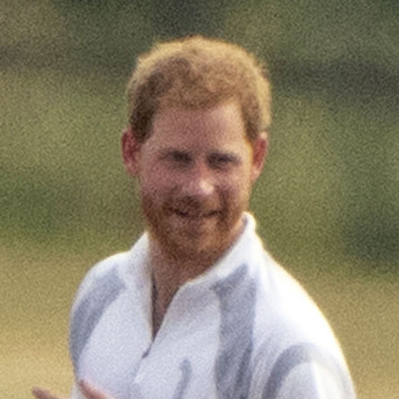 Le prince Harry discute avec ses fans après le "Audi Polo Challenge" à Ascot le 1er juillet 2018 