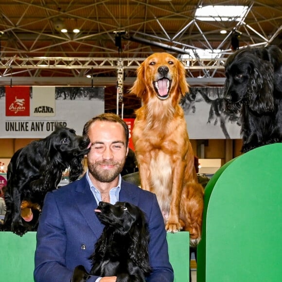 James Middleton avec ses chiens à l'exposition canine "Crufts" au palais des congrès et centre d'expositions de Birmingham, Royaume Uni, le 8 mars 2020. 