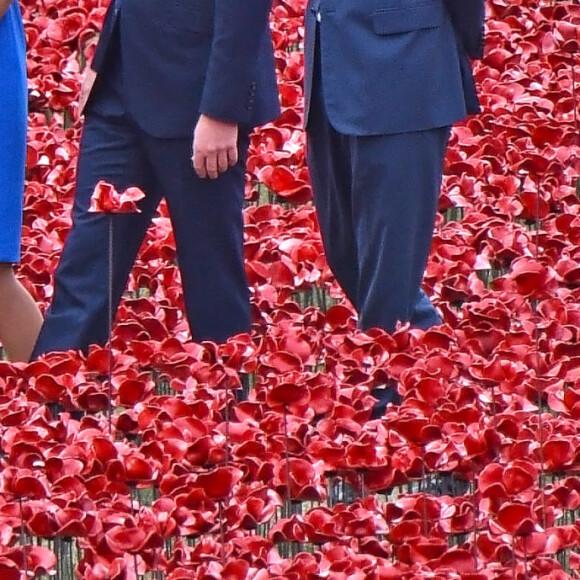 Le prince William, Catherine Kate Middleton, la duchesse de Cambridge et le prince Harry visitent la tour de Londres entourée d'une mer pourpre à Londres le 5 août 2014. Cette installation, conçue par l'artiste Paul Cummins et le designer Tom Piper, va commémorer chaque fatalité britannique ou Colonial de la première guerre mondiale en plantant 888 246 coquelicots en céramique rouge dans une mer qui coule autour de la tour. 