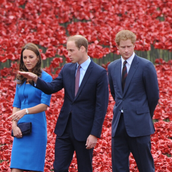 Le prince William, Catherine Kate Middleton, la duchesse de Cambridge et le prince Harry visitent la tour de Londres entourée d'une mer pourpre à Londres le 5 août 2014. Cette installation, conçue par l'artiste Paul Cummins et le designer Tom Piper, va commémorer chaque fatalité britannique ou Colonial de la première guerre mondiale en plantant 888 246 coquelicots en céramique rouge dans une mer qui coule autour de la tour. 