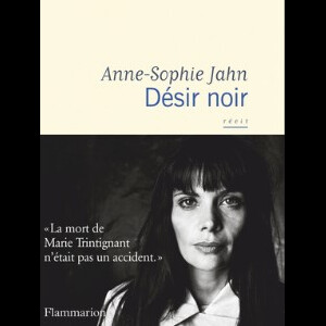 Couverture du livre Désir Noir, sur Bertrand Cantat et Marie Trintignant.
