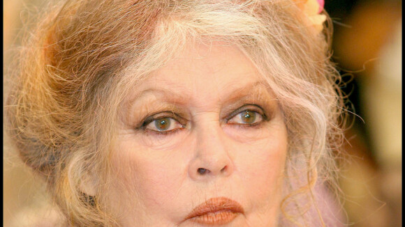 Brigitte Bardot, son avis tranché sur la série adaptée de sa vie : "Elle n'a qu'une envie, qu'on la laisse tranquille"