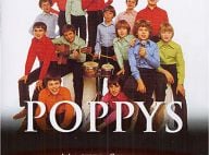 Les Poppys perdent leur procès contre Universal... C'est la fin d'un long combat !