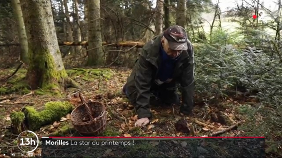 Si tout semblait normal, la chaîne s'est excusée le lendemain, à savoir aujourd'hui, en mettant en garde ses téléspectateurs à cause d'un danger potentiellement mortel, visible dans ce reportage. 
Journal de 13h, France 2.