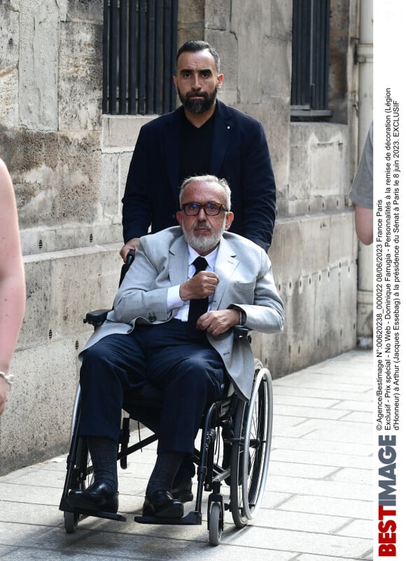 Exclusif - Dominique Farrugia - Personnalités à la remise de décoration (Légion d'Honneur) à Arthur (Jacques Essebag) à la présidence du Sénat à Paris le 8 juin 2023.