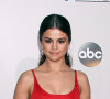 Les fans, eux, sont persuadés que la série était basée sur la vie de Selena Gomez.
Selena Gomez sur le tapis rouge du 2016 American Music Awards au théâtre Microsoft à Los Angeles, le 20 novembre 2016. 