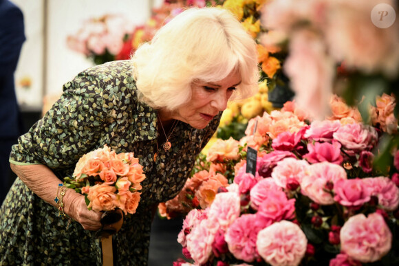 Le roi Charles III d'Angleterre et Camilla Parker Bowles, reine consort d'Angleterre, au Sandringham Flower Show à Sandringham House (Norfolk), le 26 juillet 2023. 