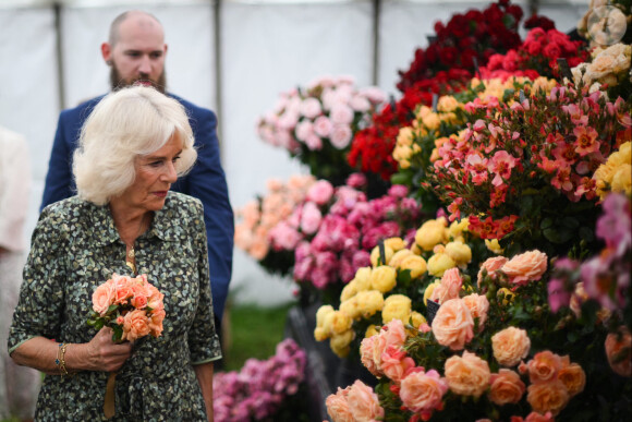 Le roi Charles III d'Angleterre et Camilla Parker Bowles, reine consort d'Angleterre, au Sandringham Flower Show à Sandringham House (Norfolk), le 26 juillet 2023. 