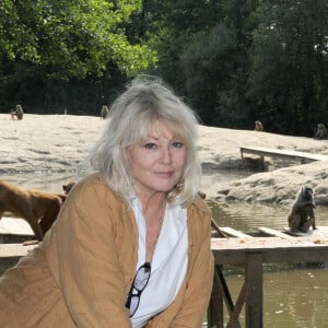 Exclusif - Apres la vente de sa propriete de Porquerolles, Mylene Demongeot s'est achetee une ferme en Mayenne. Une nouvelle vie pour l'actrice, qui, a 78 ans, ne manque pas de projets. Un telefilm, "Les mauvaises tetes", sera diffuse sur France 2 a la rentree. Elle a participe a l'ecriture d'un scenario sur "L'amour a plus de 70 ans". Aujourd'hui, dans son nouvel environnement, Mylene se consacre a ses animaux. Ses chats, ses poules, et ses chevaux recoivent tout l'amour d'une femme pleinement heureuse.... A l'image de sa nouvelle vie a quelques centaines de kilometres de Paris, Mylene Demongeot est devenue la presidente du comite d'honneur du refuge de l'Arche a Chateau-Gontier. A ce titre, elle a accepte d'etre la marraine d'une femelle ours brun, Martha, qu'elle a accueillie en personne, le 1er juillet 2012  Choix de Mylene Demongeot