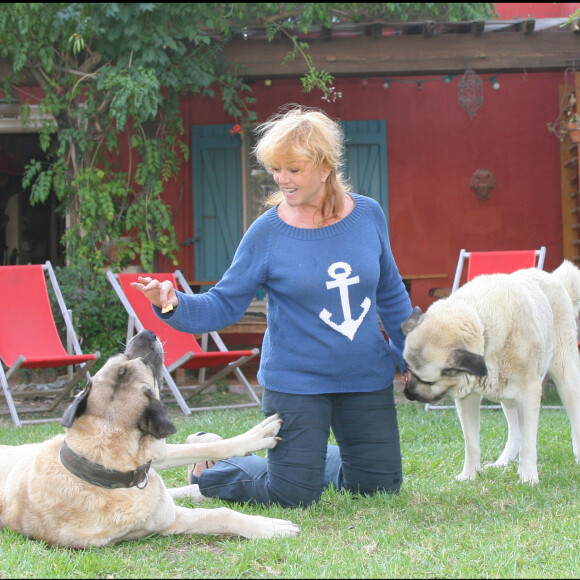 EXCLUSIF - RDV (RENDEZ VOUS) AVEC MYLENE DEMONGEOT DANS SA MAISON DE PORQUEROLLES AVEC SES DEUX CHIENS TAG ET TAIA, DES BERGERS D' ANATOLIE  