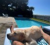 Le lieu est doté d'une piscine extérieure, offrand une vue sur la plage et la mer.
Hugo Manos dans le Petit Manoir de Laurent Ruquier à Villerville, avec leur chien Tigane. Le 25 juin 2023