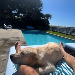 Le lieu est doté d'une piscine extérieure, offrand une vue sur la plage et la mer.
Hugo Manos dans le Petit Manoir de Laurent Ruquier à Villerville, avec leur chien Tigane. Le 25 juin 2023