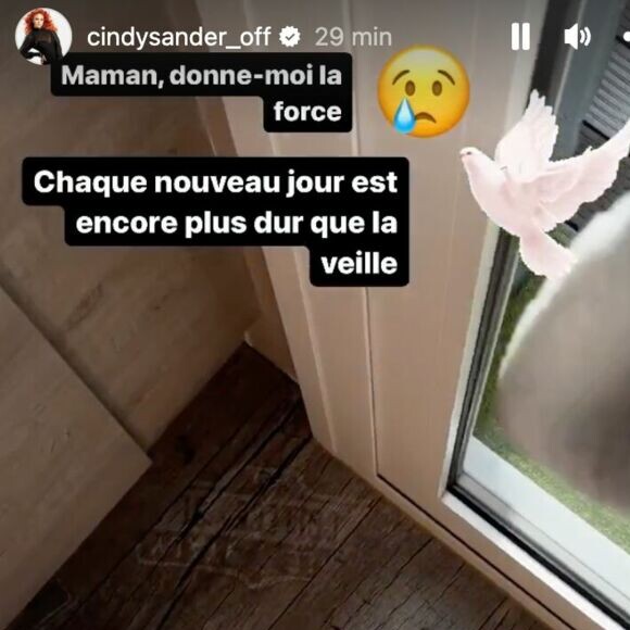 Cindy Sander a posté plusieurs vidéos sur son compte Instagram pour exprimer sa souffrance