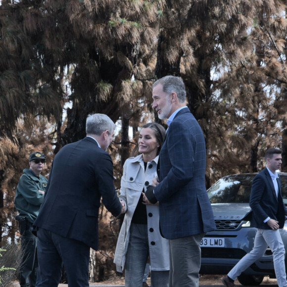 Des départs de feux, parfois incontrôlables, survenus au cours de l'été et au début du mois d'octobre
Le roi Felipe VI et la reine Letizia d'Espagne, rendent visite aux maires des communes touchées par l'incendie de forêt du Mirador de Chipeque, à Santa Ursula, Tenerife, îles Canaries, Espagne, le 24 octobre 2023. 