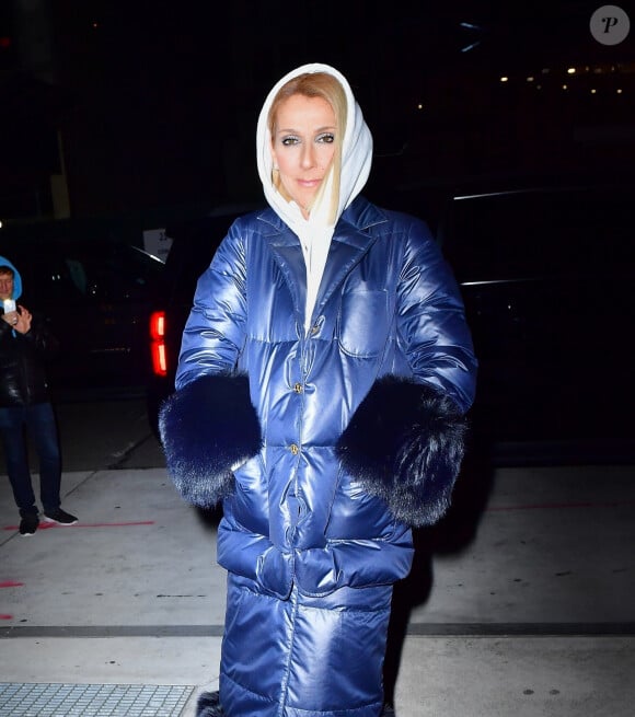 Céline Dion brave le froid de New York avec une maxi doudoune le 7 mars 2020.