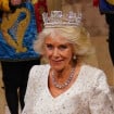 Discours du roi Charles III au Parlement : la tenue de Camilla scrutée, ses fils absents mais une autre membre royale présente