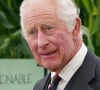Le prince Andrew aurait-il de nouveau les faveurs de la famille royale britannique ?
Archives : Roi Charles