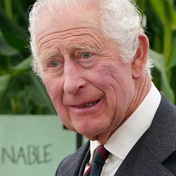 Le prince Andrew aurait-il de nouveau les faveurs de la famille royale britannique ?
Archives : Roi Charles
