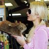 Paris Hilton se rend dans un magasin de jouets de Los Angeles pour acheter une énorme peluche, samedi 13 mars.