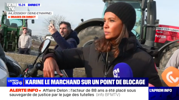Karine Le Marchand rejoint un barrage sur l'autoroute en soutien aux agriculteurs. BFMTV