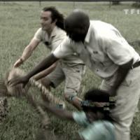 La Ferme Célébrités en Afrique : Regardez Surya se faire agresser par un guépard... et Vendetta est encore nominé ! Sortez-le !