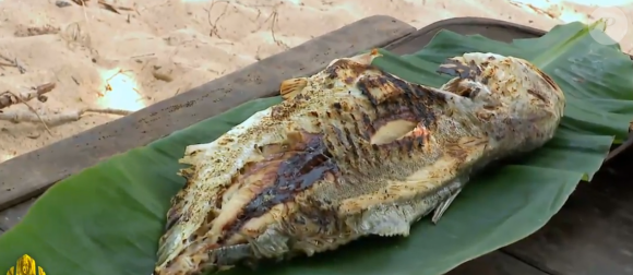 Elle a accepté de manger le poisson, malgré son régime alimentaire.
Deuxième épisode de "Koh-Lanta, Les Chasseurs d'immunité".