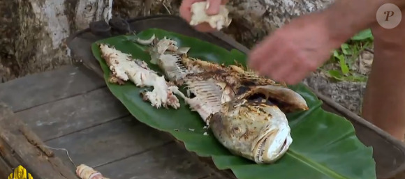 Deuxième épisode de "Koh-Lanta, Les Chasseurs d'immunité".