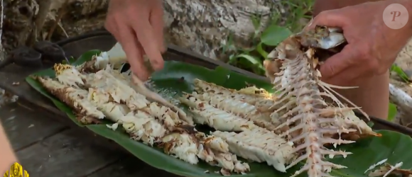 Mais lors du jeu de confort, son équipe a remporté un poisson grillé.
Deuxième épisode de "Koh-Lanta, Les Chasseurs d'immunité".