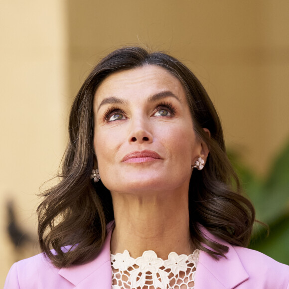 Elle était sublime dans son costume lilas. 
Le roi Felipe VI d'Espagne et la reine Letizia d'Espagne assistent à la remise des Prix nationaux de recherche 2023 à Gandie, le 14 mars 2024. 