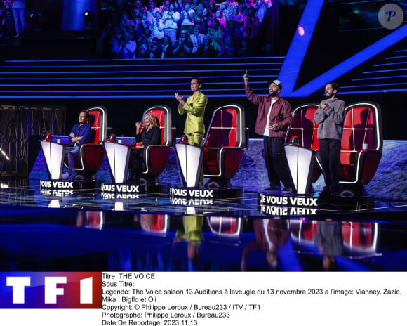 Vianney, Zazie, Bigflo et Oli et Mika lors des auditions à l'aveugle de la saison 13 de "The Voice"