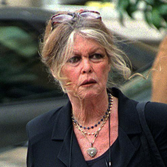 L'année n'a pas bien débuté pour Brigitte Bardot
Brigitte Bardot à Matignon plaide la cause des animaux