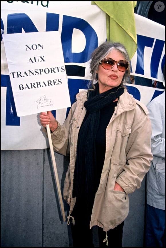 Brigitte Bardot dans une manifestation contre la maltraitance des animaux
