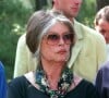 A bout en raison d'un "travail accablant", la star de 89 ans a aussi dû dire adieu à certains de ses animaux
Brigitte Bardot en visite dans le Médoc contre les chasseurs de tourterelles le 30 avril 1994
