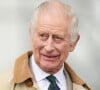 De son côté après plusieurs semaines de rumeur, le roi Charles III a lui aussi confirmé qu'il combattait contre la maladie.
Le roi Charles III d'Angleterre, et Zara Phillips (Zara Tindall), se retrouvent au concours hippique Royal Windsor Horse Show à Windsor le 3 mai 2024.