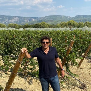 Après avoir planté des oliviers, le chanteur s'est mis à la viticulture...
Patrick Bruel dans son domaine de Leos à L'Isle-sur-la Sorgue dans le Vaucluse