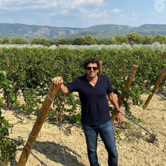 Après avoir planté des oliviers, le chanteur s'est mis à la viticulture...
Patrick Bruel dans son domaine de Leos à L'Isle-sur-la Sorgue dans le Vaucluse