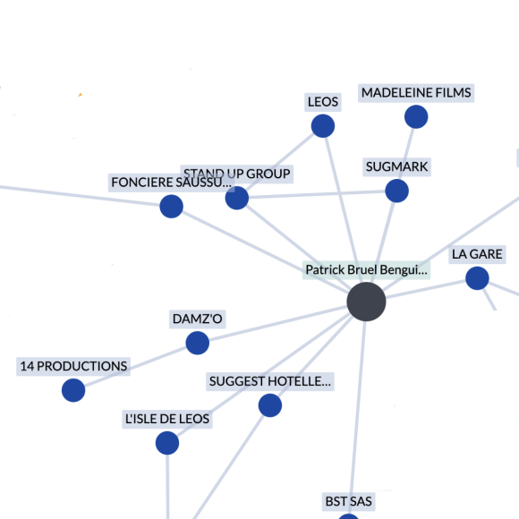 Extrait du site Pappers.com recensant les sociétés que possède ou co-possède Patrick Bruel