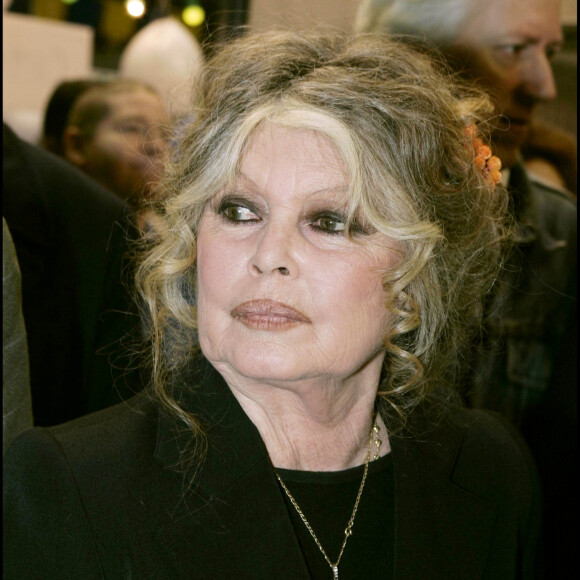 L'actrice de 89 ans s'est confiée sur RTL et a fait part de son inquiétude concernant Alain Delon
Brigitte Bardot au Noël des animaux SPA à Levallois-Perret en 2004