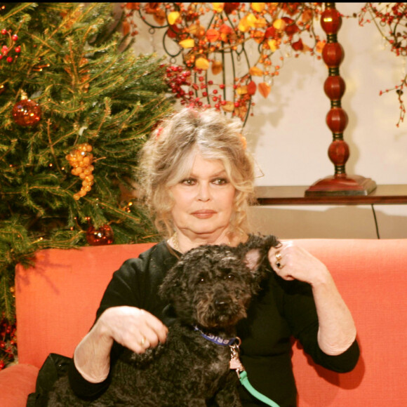 Brigitte Bardot au Noël des animaux SPA à Levallois-Perret en 2004