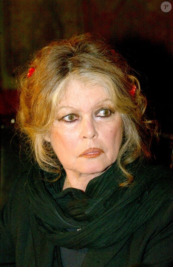 Elle a également fait savoir que les contacts étaient restreints : "On ne parle pas à Alain, c'est interdit de parler à Alain. Mais je peux, de temps en temps, avoir de ses nouvelles"
Brigitte Bardot reçue par le recteur de la mosquée de Paris le 11 février 2004